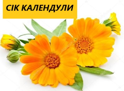 СІК КАЛЕНДУЛИ